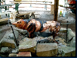So ein Ferkel!